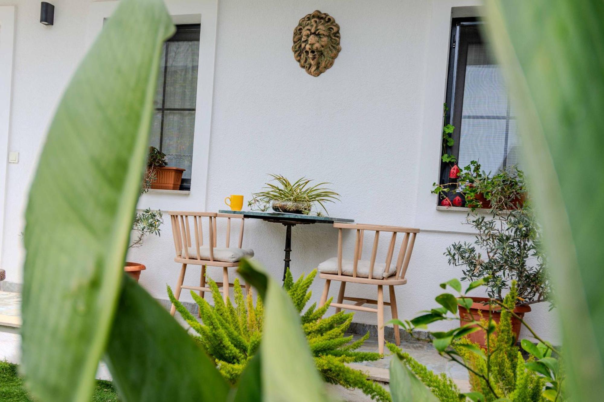 Arden'S House Bed and Breakfast Bodrum Eksteriør billede